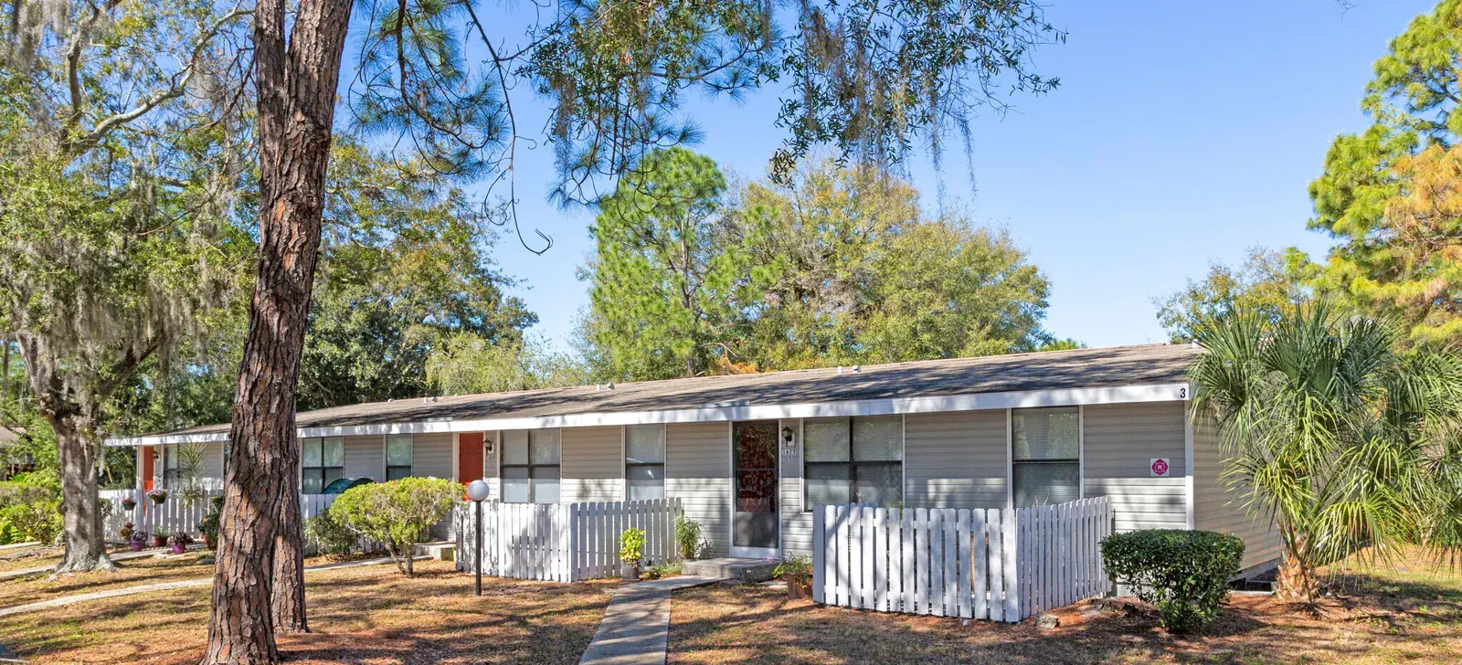 A row of single-story apartments under pines and live oaks hung with Spanish moss, each front patio enclosed by a white picket fence